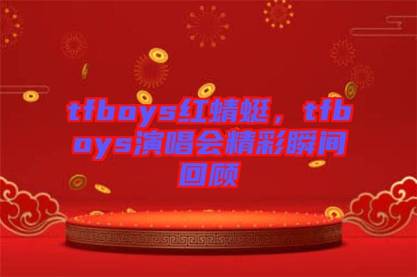tfboys紅蜻蜓，tfboys演唱會精彩瞬間回顧