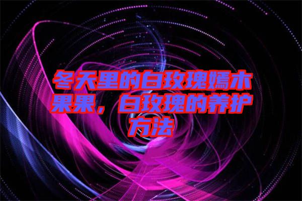 冬天里的白玫瑰嫣木果果，白玫瑰的養(yǎng)護(hù)方法