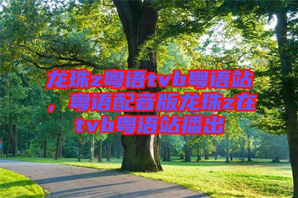 龍珠z粵語tvb粵語站，粵語配音版龍珠z在tvb粵語站播出