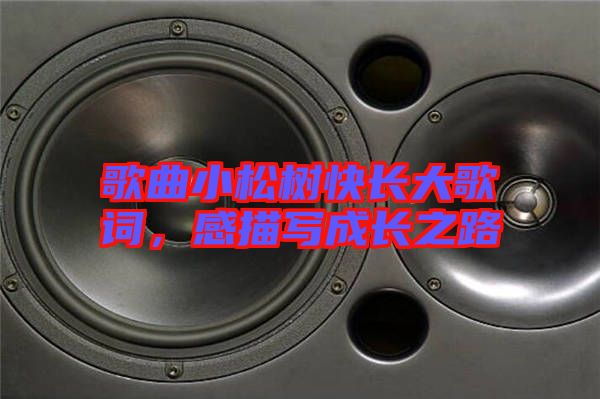 歌曲小松樹快長(zhǎng)大歌詞，感描寫成長(zhǎng)之路
