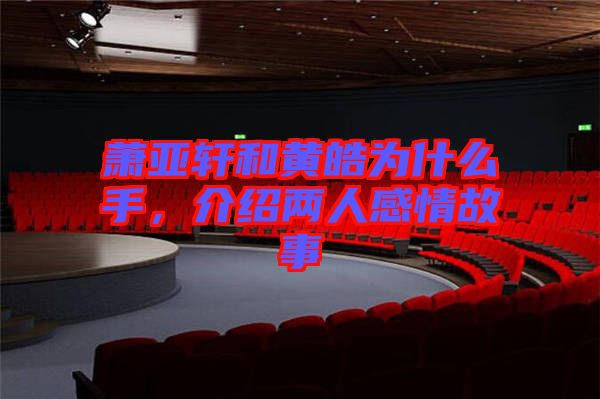 蕭亞軒和黃皓為什么手，介紹兩人感情故事