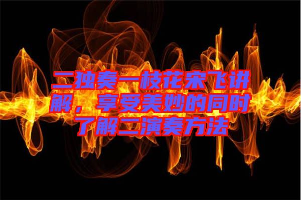 二獨奏一枝花宋飛講解，享受美妙的同時了解二演奏方法