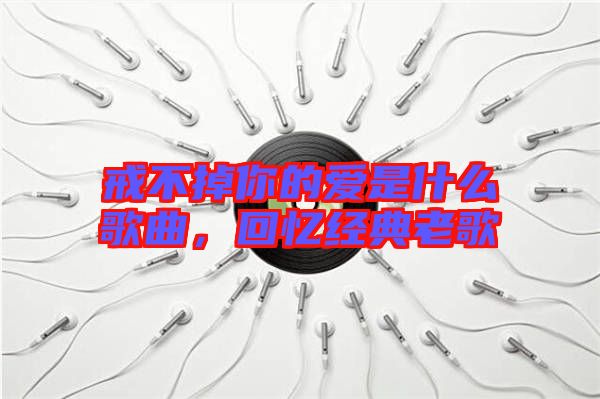 戒不掉你的愛(ài)是什么歌曲，回憶經(jīng)典老歌