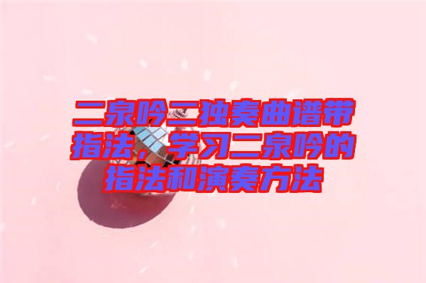 二泉吟二獨(dú)奏曲譜帶指法，學(xué)習(xí)二泉吟的指法和演奏方法
