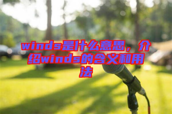 winds是什么意思，介紹winds的含義和用法