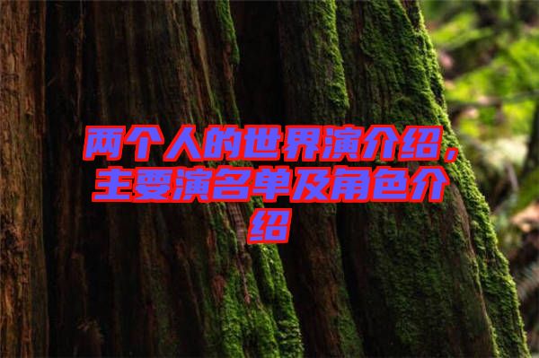 兩個(gè)人的世界演介紹，主要演名單及角色介紹