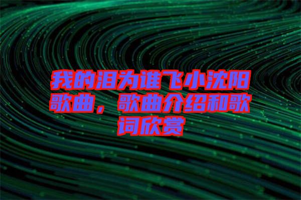 我的淚為誰飛小沈陽(yáng)歌曲，歌曲介紹和歌詞欣賞