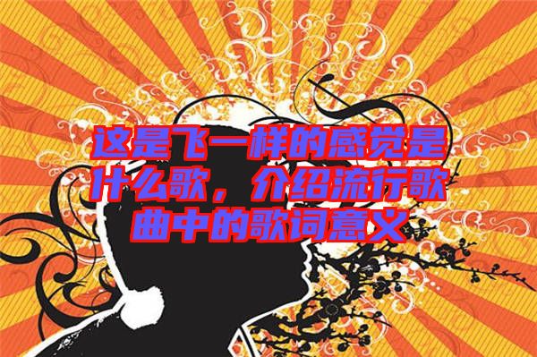 這是飛一樣的感覺是什么歌，介紹流行歌曲中的歌詞意義