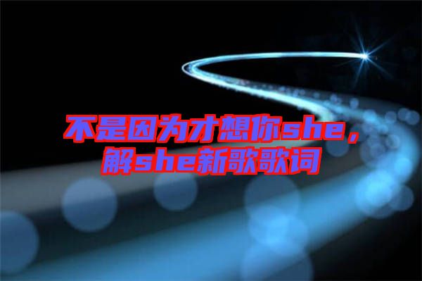 不是因?yàn)椴畔肽鉺he，解she新歌歌詞