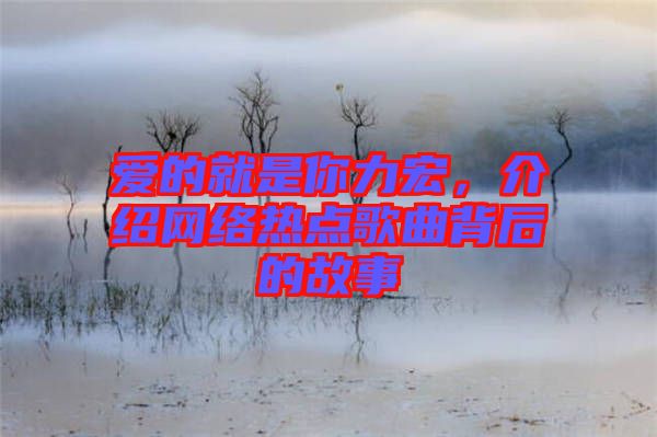 愛(ài)的就是你力宏，介紹網(wǎng)絡(luò)熱點(diǎn)歌曲背后的故事