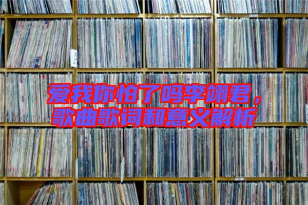 愛我你怕了嗎李翊君，歌曲歌詞和意義解析