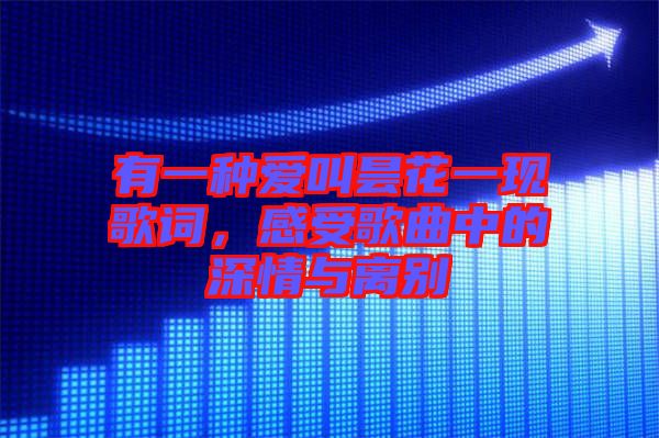 有一種愛叫曇花一現(xiàn)歌詞，感受歌曲中的深情與離別