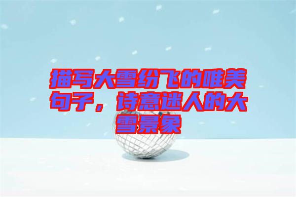 描寫(xiě)大雪紛飛的唯美句子，詩(shī)意迷人的大雪景象