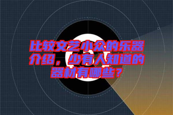 比較文藝小眾的樂器介紹，少有人知道的器材有哪些？