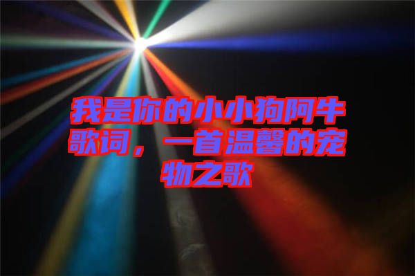 我是你的小小狗阿牛歌詞，一首溫馨的寵物之歌