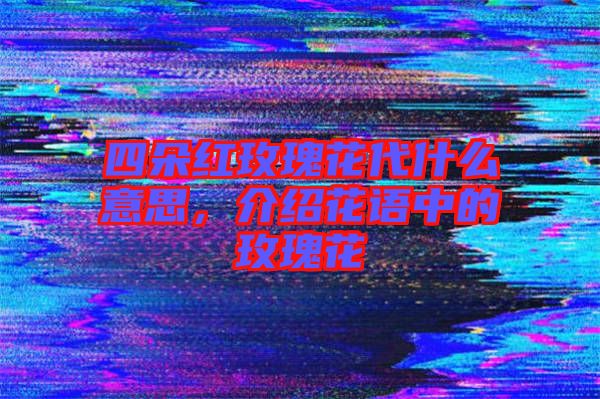 四朵紅玫瑰花代什么意思，介紹花語中的玫瑰花