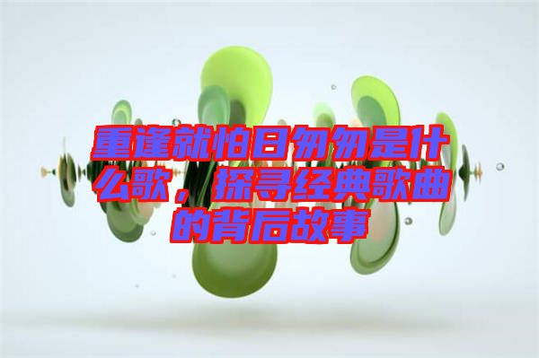 重逢就怕日匆匆是什么歌，探尋經(jīng)典歌曲的背后故事