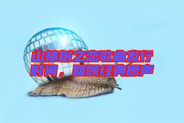 山楂樹之戀歌曲發(fā)行時間，回顧經(jīng)典原聲