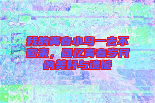 我的青春小鳥一去不回來，回憶青春歲月的美好與遺憾