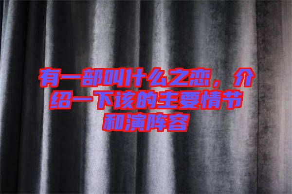 有一部叫什么之戀，介紹一下該的主要情節(jié)和演陣容
