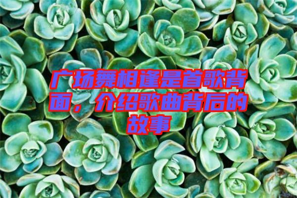 廣場(chǎng)舞相逢是首歌背面，介紹歌曲背后的故事