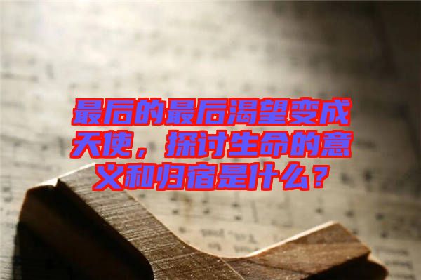 最后的最后渴望變成天使，探討生命的意義和歸宿是什么？