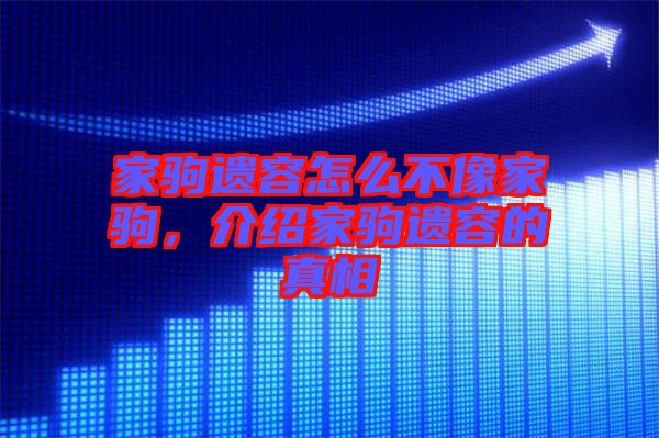 家駒遺容怎么不像家駒，介紹家駒遺容的真相
