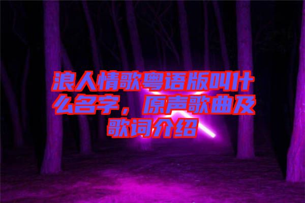 浪人情歌粵語版叫什么名字，原聲歌曲及歌詞介紹