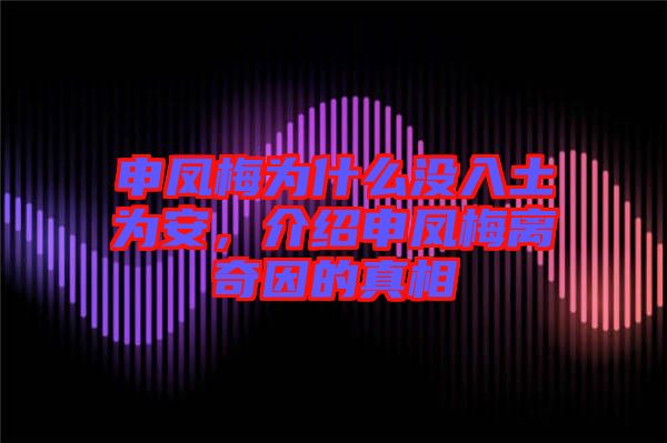 申鳳梅為什么沒入土為安，介紹申鳳梅離奇因的真相