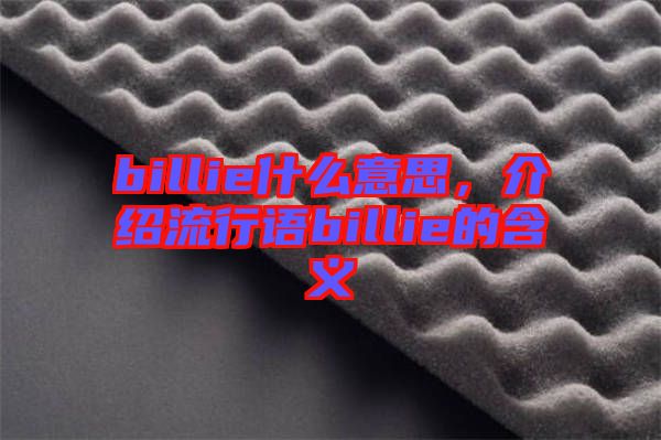 billie什么意思，介紹流行語billie的含義