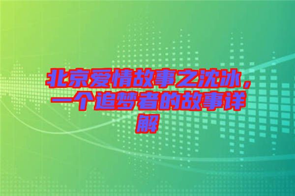 北京愛情故事之沈冰，一個(gè)追夢者的故事詳解