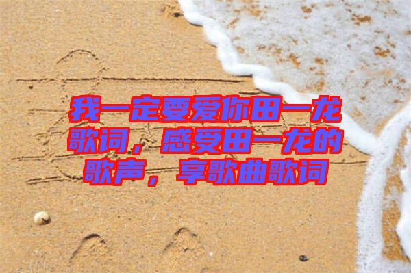 我一定要愛你田一龍歌詞，感受田一龍的歌聲，享歌曲歌詞