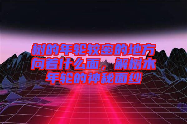 樹的年輪較密的地方向著什么面，解樹木年輪的神秘面紗