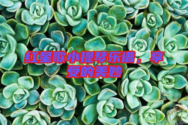 紅星歌小提琴樂譜，享受的美妙
