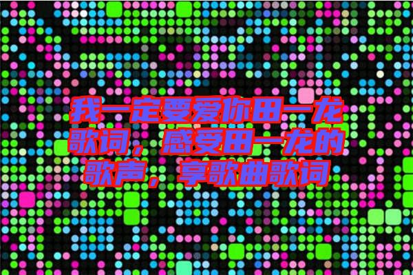 我一定要愛你田一龍歌詞，感受田一龍的歌聲，享歌曲歌詞