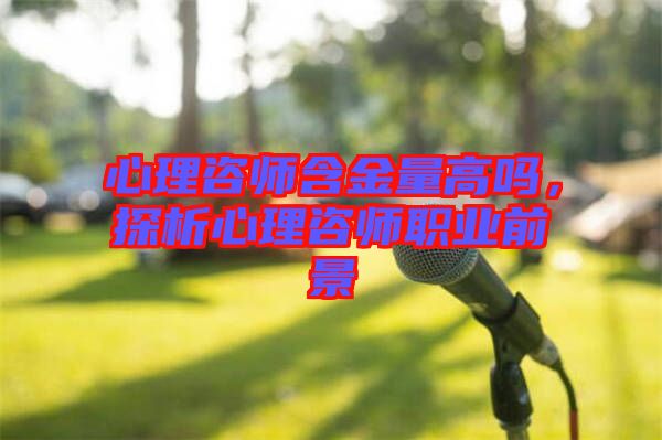 心理咨師含金量高嗎，探析心理咨師職業(yè)前景