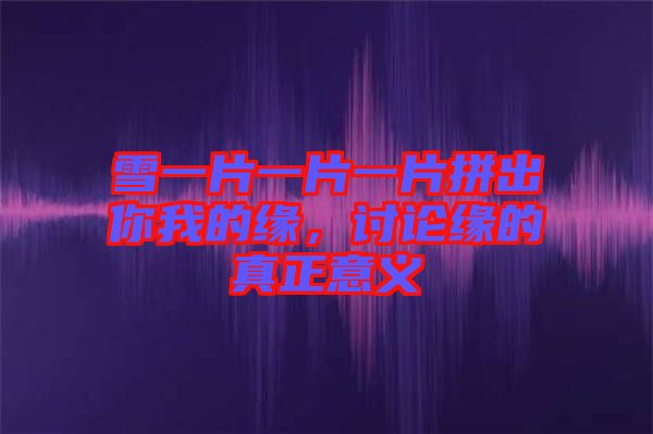 雪一片一片一片拼出你我的緣，討論緣的真正意義