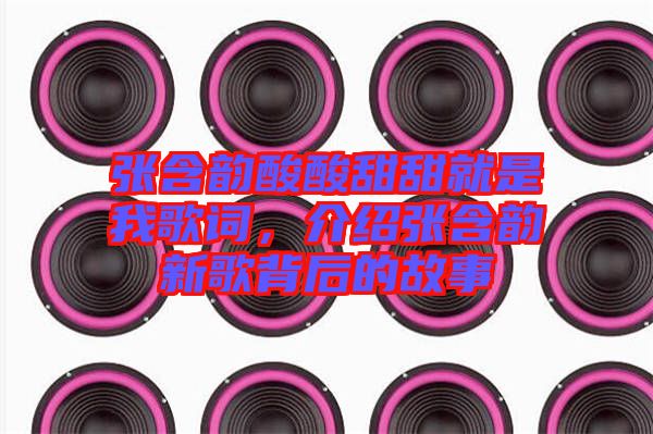 張含韻酸酸甜甜就是我歌詞，介紹張含韻新歌背后的故事