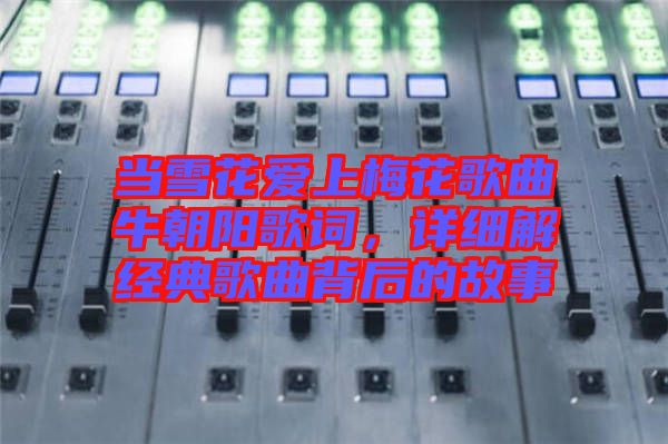 當(dāng)雪花愛上梅花歌曲牛朝陽歌詞，詳細(xì)解經(jīng)典歌曲背后的故事