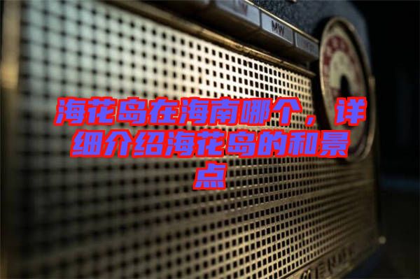 海花島在海南哪個(gè)，詳細(xì)介紹海花島的和景點(diǎn)