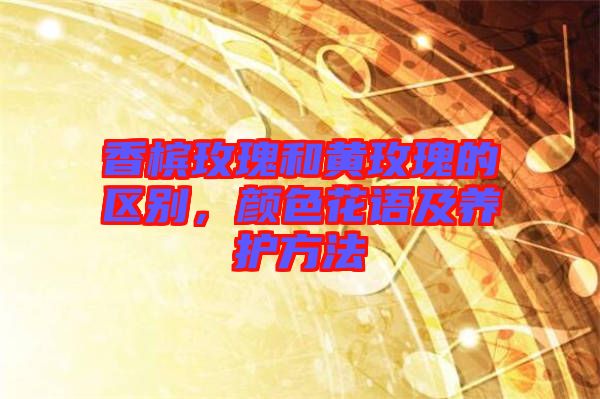香檳玫瑰和黃玫瑰的區(qū)別，顏色花語及養(yǎng)護(hù)方法
