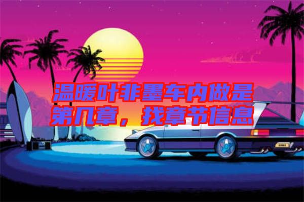 溫暖葉非墨車內(nèi)做是第幾章，找章節(jié)信息