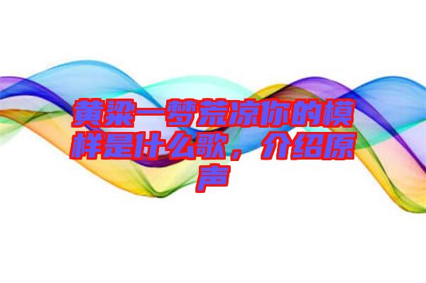 黃粱一夢(mèng)荒涼你的模樣是什么歌，介紹原聲