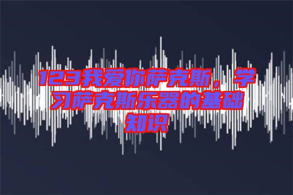123我愛(ài)你薩克斯，學(xué)習(xí)薩克斯樂(lè)器的基礎(chǔ)知識(shí)