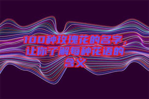 100種玫瑰花的名字，讓你了解每種花語的含義