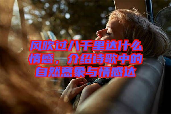 風(fēng)吹過(guò)八千里達(dá)什么情感，介紹詩(shī)歌中的自然意象與情感達(dá)
