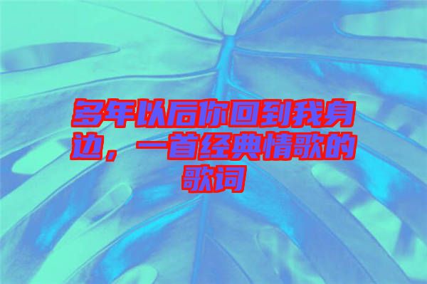 多年以后你回到我身邊，一首經(jīng)典情歌的歌詞