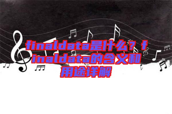 finaldata是什么？finaldata的含義和用途詳解