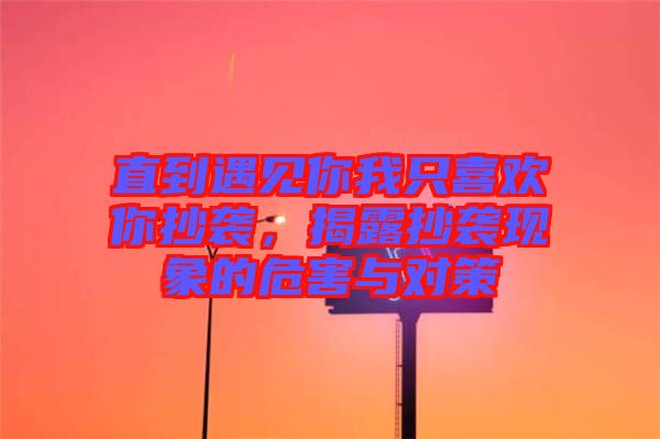 直到遇見你我只喜歡你抄襲，揭露抄襲現(xiàn)象的危害與對(duì)策