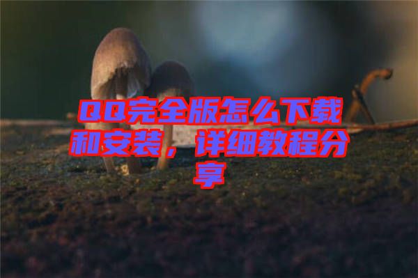 QQ完全版怎么下載和安裝，詳細(xì)教程分享